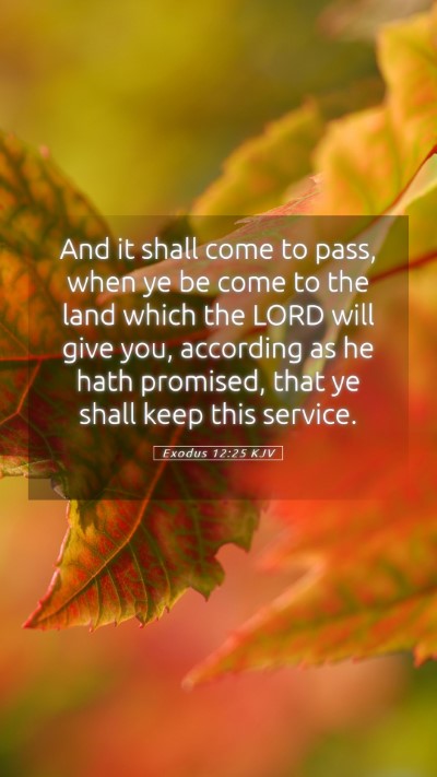 Picture 05 - Exodus 12:25 KJV Mobile Phone Wallpaper - And it shall come to pass, when ye be come to the - Mobile Bible Verse Wallpaper