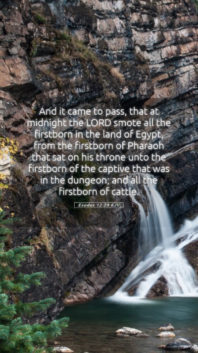 Picture 05 - Exodus 12:29 KJV Mobile Phone Wallpaper - And it came to pass, that at midnight the LORD - Mobile Bible Verse Wallpaper