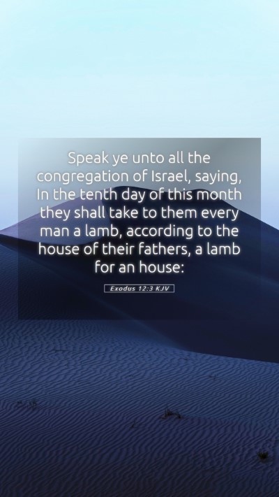 Picture 05 - Exodus 12:3 KJV Mobile Phone Wallpaper - Speak ye unto all the congregation of Israel, - Mobile Bible Verse Wallpaper