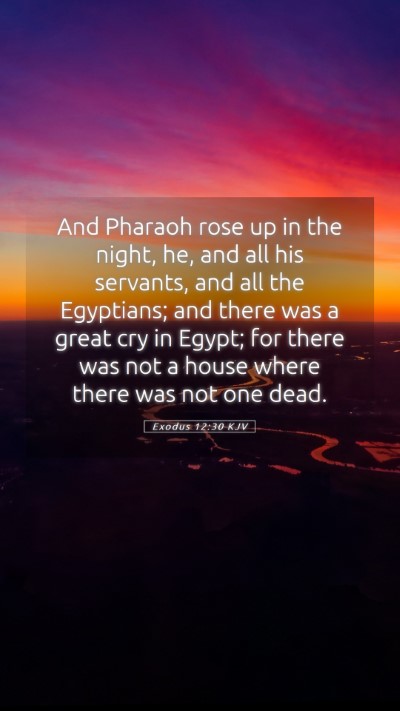 Picture 05 - Exodus 12:30 KJV Mobile Phone Wallpaper - And Pharaoh rose up in the night, he, and all his - Mobile Bible Verse Wallpaper