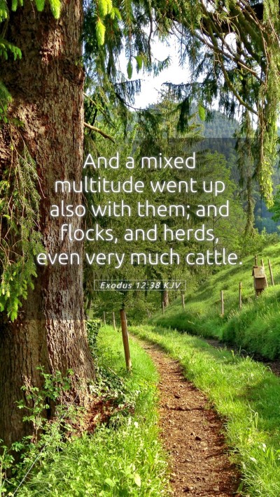 Picture 05 - Exodus 12:38 KJV Mobile Phone Wallpaper - And a mixed multitude went up also with them; and - Mobile Bible Verse Wallpaper