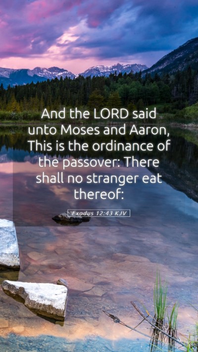 Picture 05 - Exodus 12:43 KJV Mobile Phone Wallpaper - And the LORD said unto Moses and Aaron, This is - Mobile Bible Verse Wallpaper