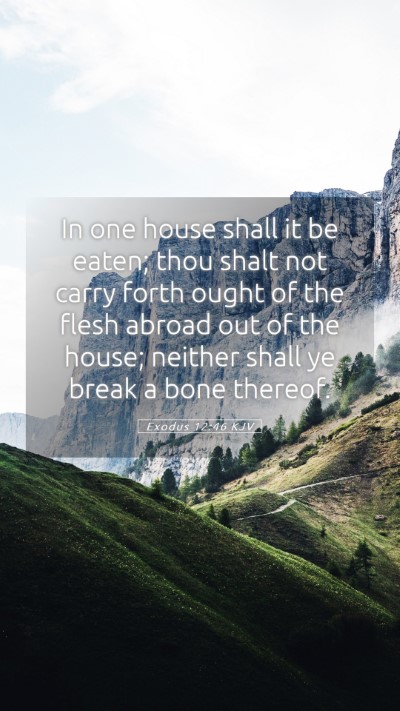Picture 05 - Exodus 12:46 KJV Mobile Phone Wallpaper - In one house shall it be eaten; thou shalt not - Mobile Bible Verse Wallpaper