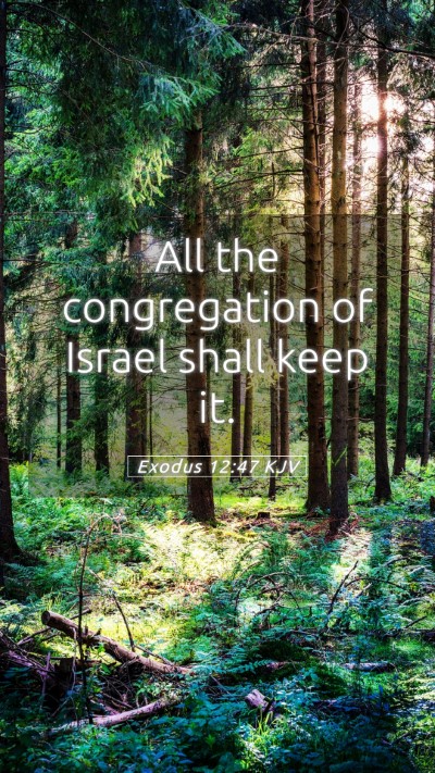 Picture 05 - Exodus 12:47 KJV Mobile Phone Wallpaper - All the congregation of Israel shall keep - Mobile Bible Verse Wallpaper