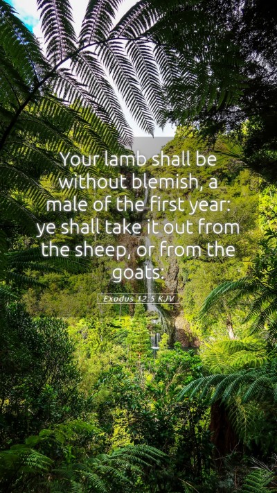 Picture 05 - Exodus 12:5 KJV Mobile Phone Wallpaper - Your lamb shall be without blemish, a male of the - Mobile Bible Verse Wallpaper