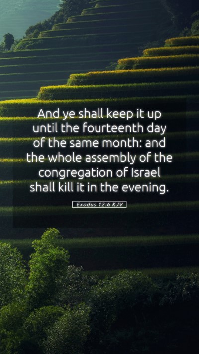 Picture 05 - Exodus 12:6 KJV Mobile Phone Wallpaper - And ye shall keep it up until the fourteenth day - Mobile Bible Verse Wallpaper