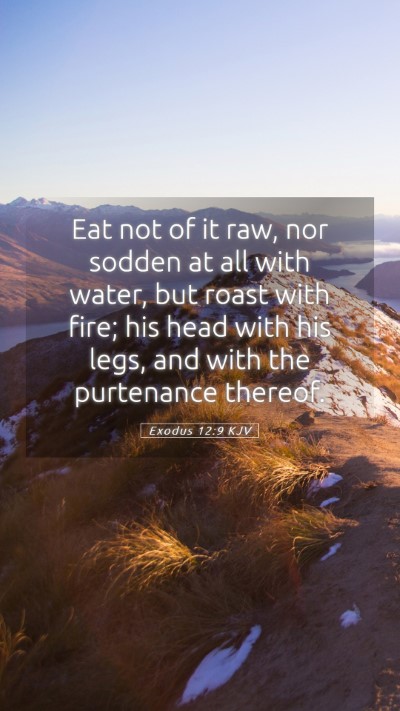 Picture 05 - Exodus 12:9 KJV Mobile Phone Wallpaper - Eat not of it raw, nor sodden at all with water, - Mobile Bible Verse Wallpaper