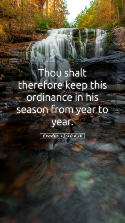 Picture 05 - Exodus 13:10 KJV Mobile Phone Wallpaper - Thou shalt therefore keep this ordinance in his - Mobile Bible Verse Wallpaper