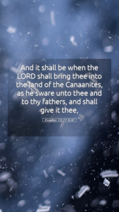 Picture 05 - Exodus 13:11 KJV Mobile Phone Wallpaper - And it shall be when the LORD shall bring thee - Mobile Bible Verse Wallpaper