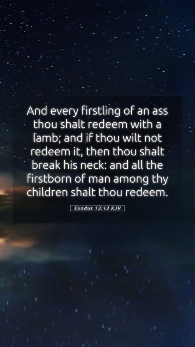 Picture 05 - Exodus 13:13 KJV Mobile Phone Wallpaper - And every firstling of an ass thou shalt redeem - Mobile Bible Verse Wallpaper