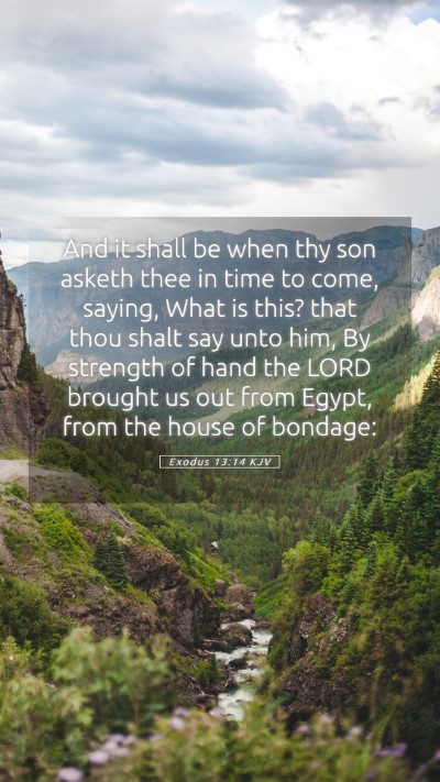 Picture 05 - Exodus 13:14 KJV Mobile Phone Wallpaper - And it shall be when thy son asketh thee in time - Mobile Bible Verse Wallpaper