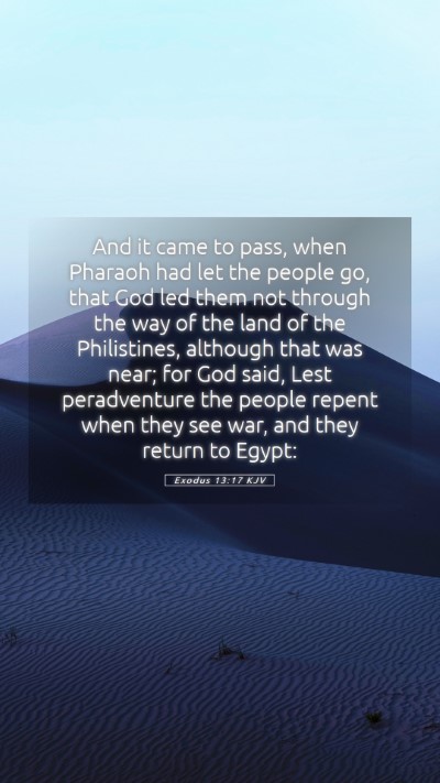 Picture 05 - Exodus 13:17 KJV Mobile Phone Wallpaper - And it came to pass, when Pharaoh had let the - Mobile Bible Verse Wallpaper