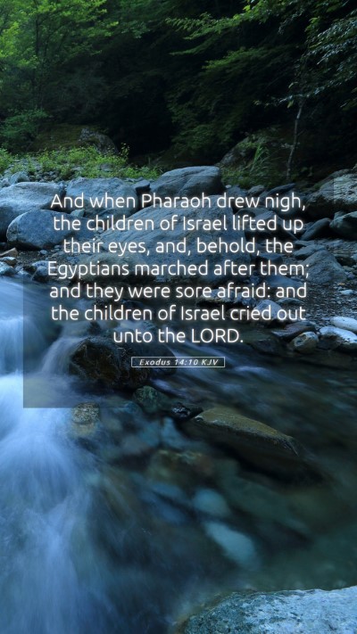 Picture 05 - Exodus 14:10 KJV Mobile Phone Wallpaper - And when Pharaoh drew nigh, the children of - Mobile Bible Verse Wallpaper