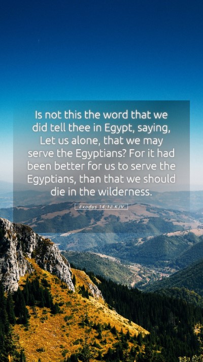 Picture 05 - Exodus 14:12 KJV Mobile Phone Wallpaper - Is not this the word that we did tell thee in - Mobile Bible Verse Wallpaper