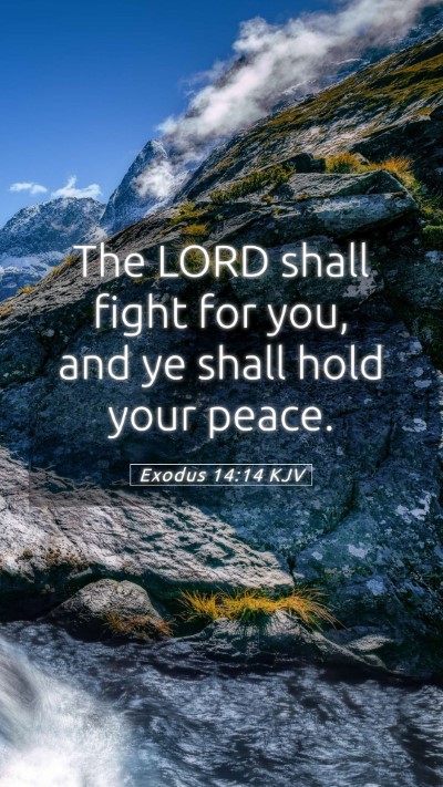 Picture 05 - Exodus 14:14 KJV Mobile Phone Wallpaper - The LORD shall fight for you, and ye shall hold - Mobile Bible Verse Wallpaper