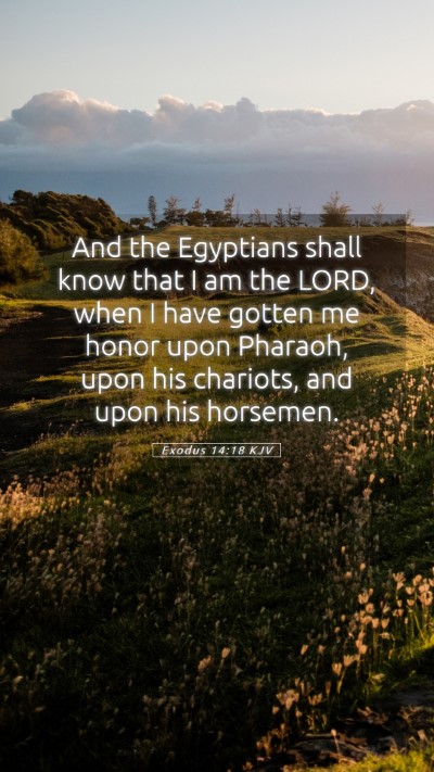 Picture 05 - Exodus 14:18 KJV Mobile Phone Wallpaper - And the Egyptians shall know that I am the LORD, - Mobile Bible Verse Wallpaper