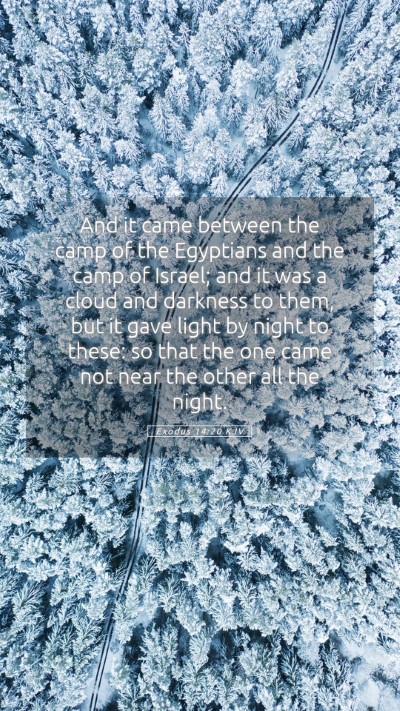 Picture 05 - Exodus 14:20 KJV Mobile Phone Wallpaper - And it came between the camp of the Egyptians and - Mobile Bible Verse Wallpaper