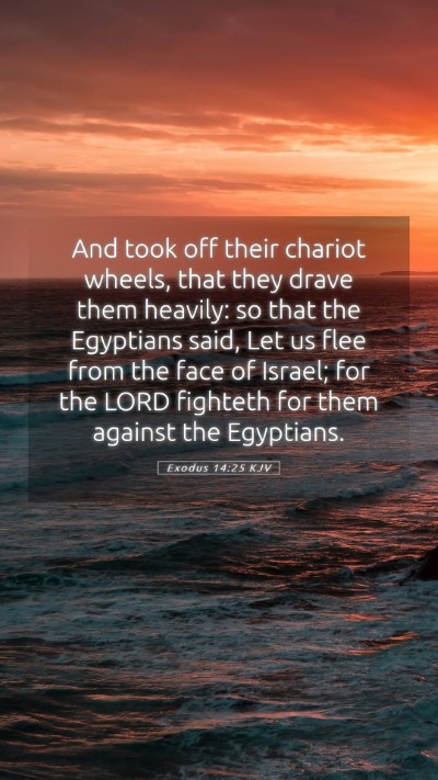 Picture 05 - Exodus 14:25 KJV Mobile Phone Wallpaper - And took off their chariot wheels, that they - Mobile Bible Verse Wallpaper