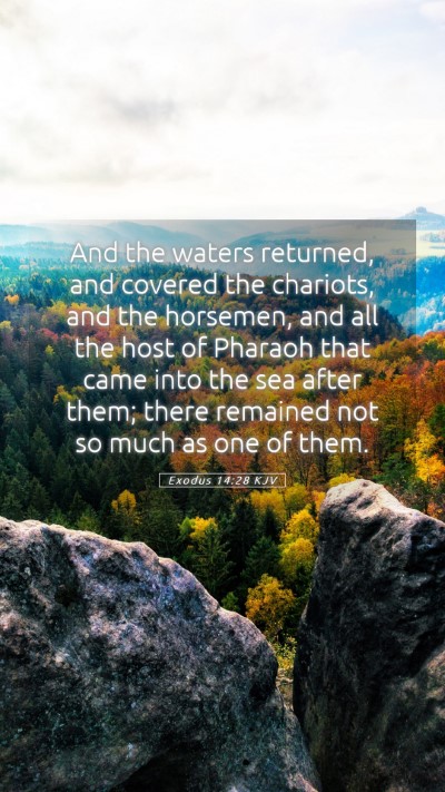 Picture 05 - Exodus 14:28 KJV Mobile Phone Wallpaper - And the waters returned, and covered the - Mobile Bible Verse Wallpaper
