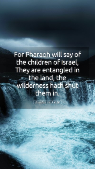 Picture 05 - Exodus 14:3 KJV Mobile Phone Wallpaper - For Pharaoh will say of the children of Israel, - Mobile Bible Verse Wallpaper