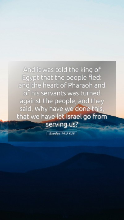 Picture 05 - Exodus 14:5 KJV Mobile Phone Wallpaper - And it was told the king of Egypt that the people - Mobile Bible Verse Wallpaper