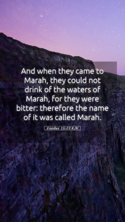 Picture 05 - Exodus 15:23 KJV Mobile Phone Wallpaper - And when they came to Marah, they could not drink - Mobile Bible Verse Wallpaper