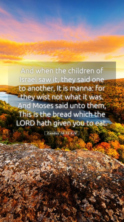 Picture 05 - Exodus 16:15 KJV Mobile Phone Wallpaper - And when the children of Israel saw it, they said - Mobile Bible Verse Wallpaper