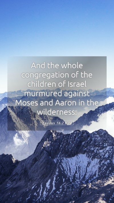Picture 05 - Exodus 16:2 KJV Mobile Phone Wallpaper - And the whole congregation of the children of - Mobile Bible Verse Wallpaper