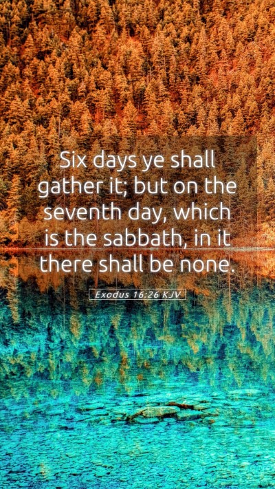 Picture 05 - Exodus 16:26 KJV Mobile Phone Wallpaper - Six days ye shall gather it; but on the seventh - Mobile Bible Verse Wallpaper