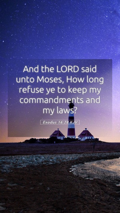 Picture 05 - Exodus 16:28 KJV Mobile Phone Wallpaper - And the LORD said unto Moses, How long refuse ye - Mobile Bible Verse Wallpaper