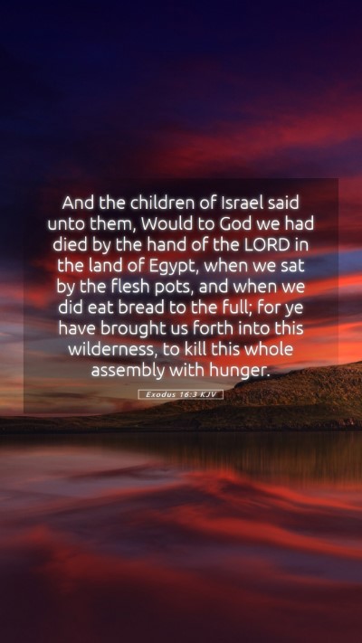 Picture 05 - Exodus 16:3 KJV Mobile Phone Wallpaper - And the children of Israel said unto them, Would - Mobile Bible Verse Wallpaper
