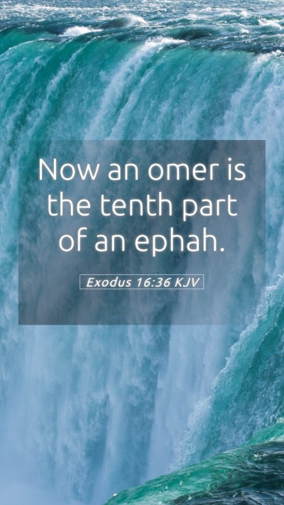 Picture 05 - Exodus 16:36 KJV Mobile Phone Wallpaper - Now an omer is the tenth part of an - Mobile Bible Verse Wallpaper