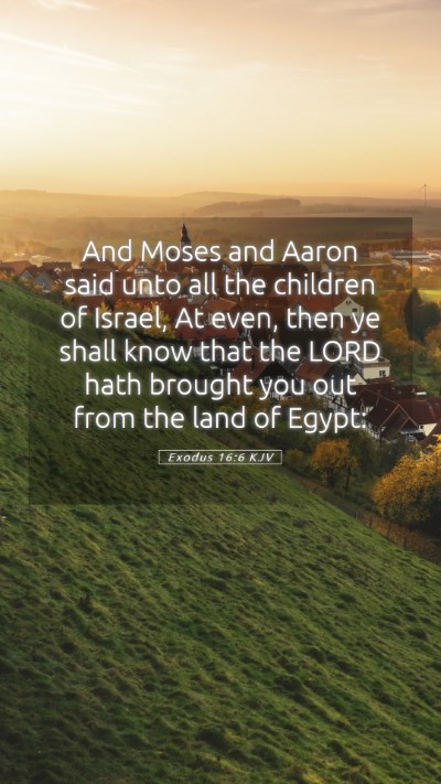 Picture 05 - Exodus 16:6 KJV Mobile Phone Wallpaper - And Moses and Aaron said unto all the children of - Mobile Bible Verse Wallpaper