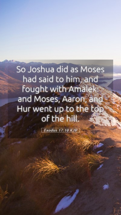 Picture 05 - Exodus 17:10 KJV Mobile Phone Wallpaper - So Joshua did as Moses had said to him, and - Mobile Bible Verse Wallpaper