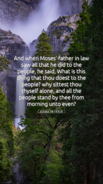 Picture 05 - Exodus 18:14 KJV Mobile Phone Wallpaper - And when Moses' father in law saw all that he did - Mobile Bible Verse Wallpaper