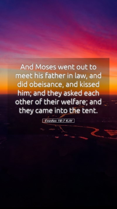Picture 05 - Exodus 18:7 KJV Mobile Phone Wallpaper - And Moses went out to meet his father in law, and - Mobile Bible Verse Wallpaper