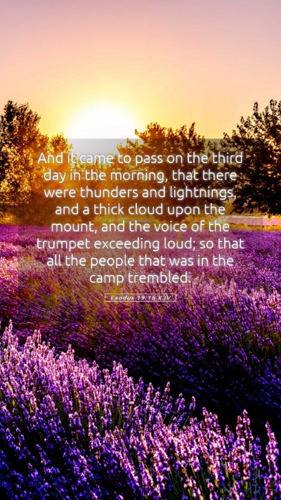 Picture 05 - Exodus 19:16 KJV Mobile Phone Wallpaper - And it came to pass on the third day in the - Mobile Bible Verse Wallpaper
