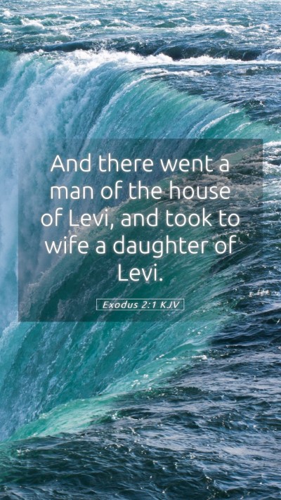 Picture 05 - Exodus 2:1 KJV Mobile Phone Wallpaper - And there went a man of the house of Levi, and - Mobile Bible Verse Wallpaper