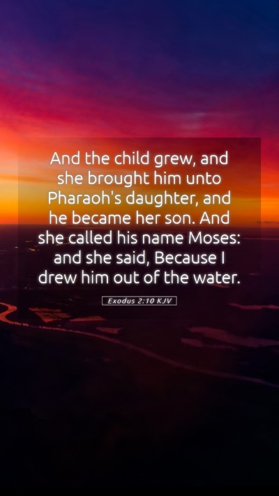 Picture 05 - Exodus 2:10 KJV Mobile Phone Wallpaper - And the child grew, and she brought him unto - Mobile Bible Verse Wallpaper