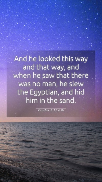 Picture 05 - Exodus 2:12 KJV Mobile Phone Wallpaper - And he looked this way and that way, and when he - Mobile Bible Verse Wallpaper