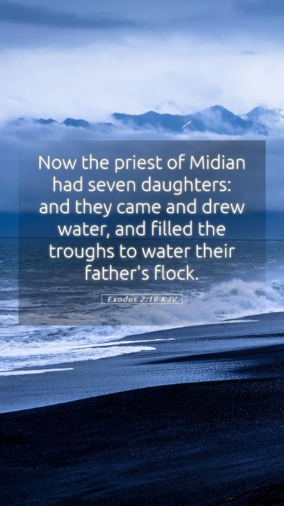 Picture 05 - Exodus 2:16 KJV Mobile Phone Wallpaper - Now the priest of Midian had seven daughters: and - Mobile Bible Verse Wallpaper