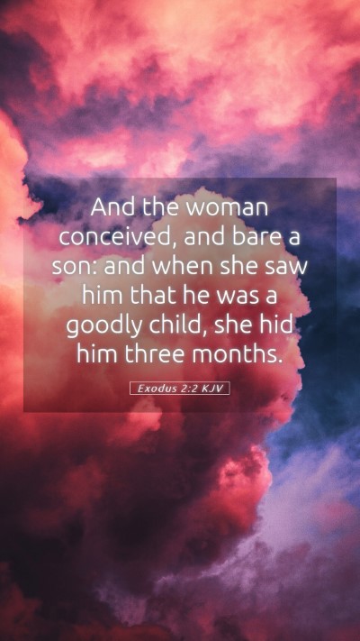 Picture 05 - Exodus 2:2 KJV Mobile Phone Wallpaper - And the woman conceived, and bare a son: and when - Mobile Bible Verse Wallpaper