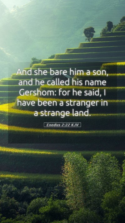Picture 05 - Exodus 2:22 KJV Mobile Phone Wallpaper - And she bare him a son, and he called his name - Mobile Bible Verse Wallpaper