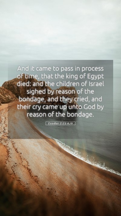 Picture 05 - Exodus 2:23 KJV Mobile Phone Wallpaper - And it came to pass in process of time, that the - Mobile Bible Verse Wallpaper