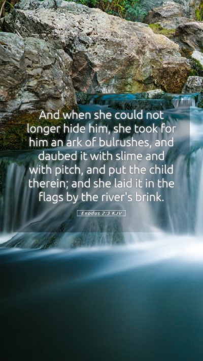 Picture 05 - Exodus 2:3 KJV Mobile Phone Wallpaper - And when she could not longer hide him, she took - Mobile Bible Verse Wallpaper