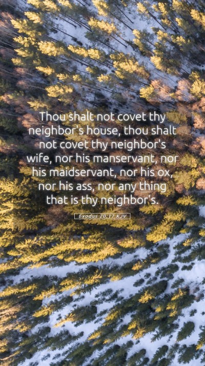 Picture 05 - Exodus 20:17 KJV Mobile Phone Wallpaper - Thou shalt not covet thy neighbor's house, thou - Mobile Bible Verse Wallpaper