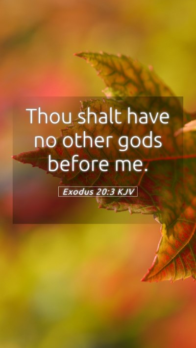 Picture 05 - Exodus 20:3 KJV Mobile Phone Wallpaper - Thou shalt have no other gods before - Mobile Bible Verse Wallpaper