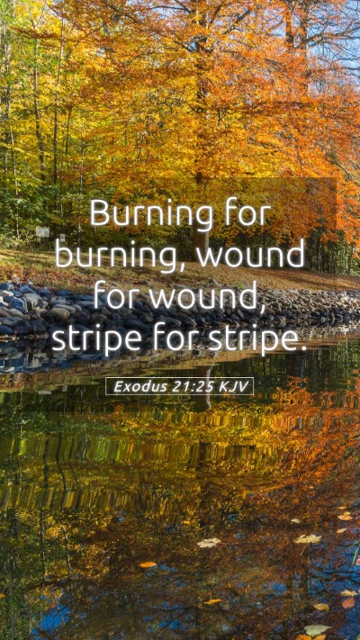 Picture 05 - Exodus 21:25 KJV Mobile Phone Wallpaper - Burning for burning, wound for wound, stripe for - Mobile Bible Verse Wallpaper