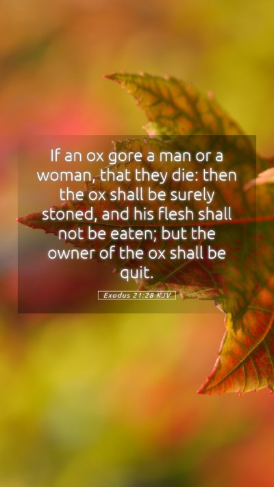 Picture 05 - Exodus 21:28 KJV Mobile Phone Wallpaper - If an ox gore a man or a woman, that they die: - Mobile Bible Verse Wallpaper