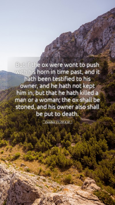 Picture 05 - Exodus 21:29 KJV Mobile Phone Wallpaper - But if the ox were wont to push with his horn in - Mobile Bible Verse Wallpaper